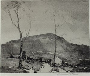 Image description is not available for DU1965.13